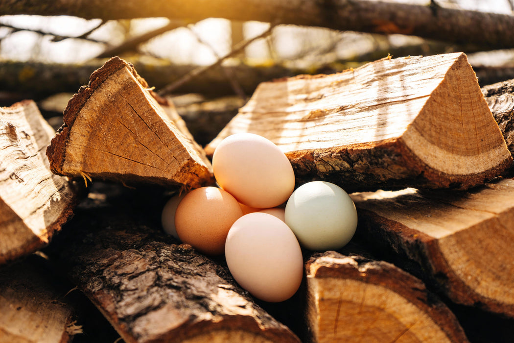 J&H Free Range Eggs